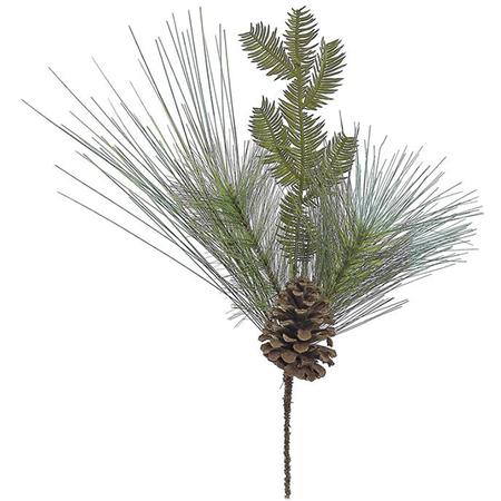 Long Needle Pine & Hemlock