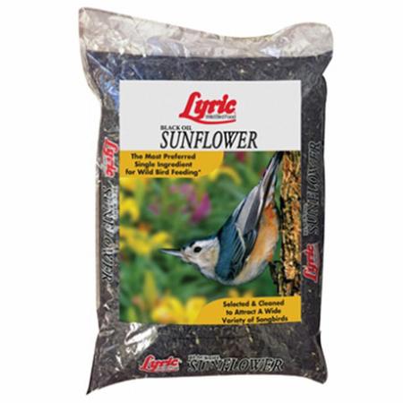 Lyric Black Oil Sunflower - 25lbs
