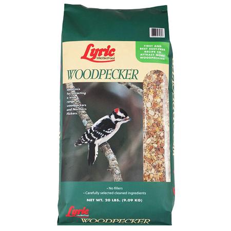 Lyric Woodpecker Feed - 20lbs