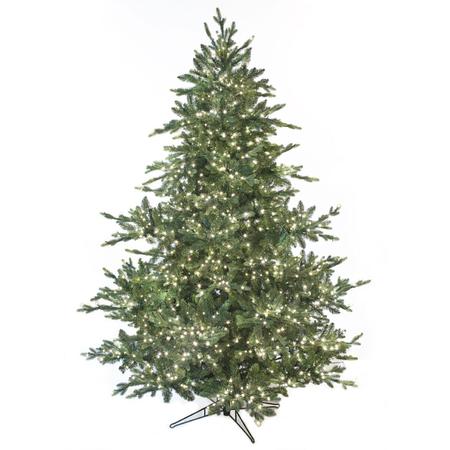 Majestic Spruce - 7.5' - Warm White LED