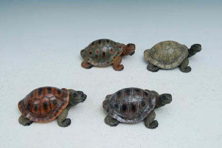 Turtle 7 Inch Assorted