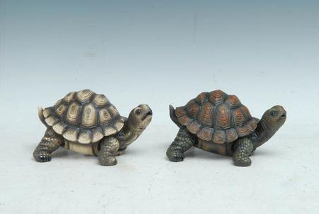 Turtle 8 Inch Assorted