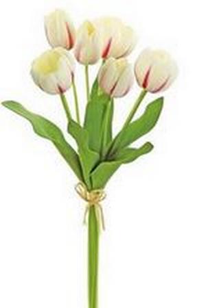 Mixed Small Tulip Bundle - Cream & Cerise