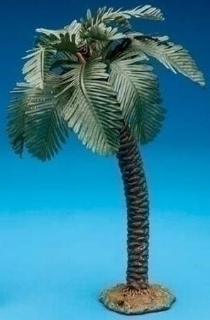 Palm Tree - 5